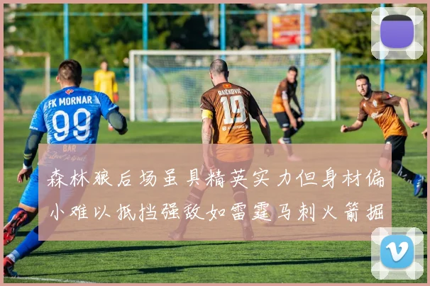 森林狼后场虽具精英实力但身材偏小难以抵挡强敌如雷霆马刺火箭掘金